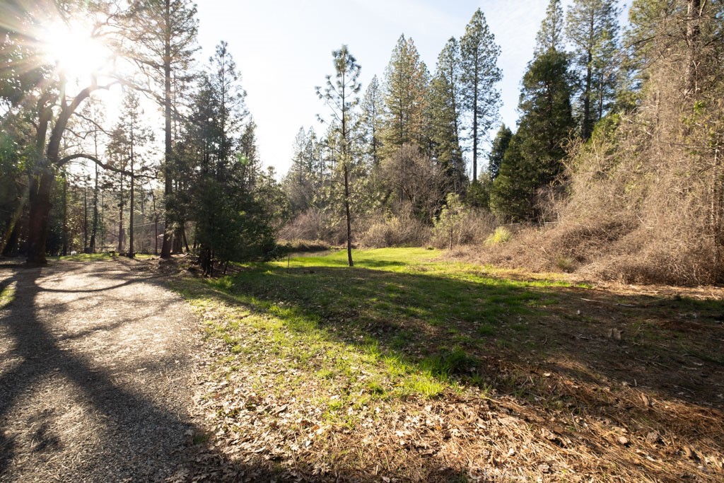 16648 New York House Road Property Photo 32
