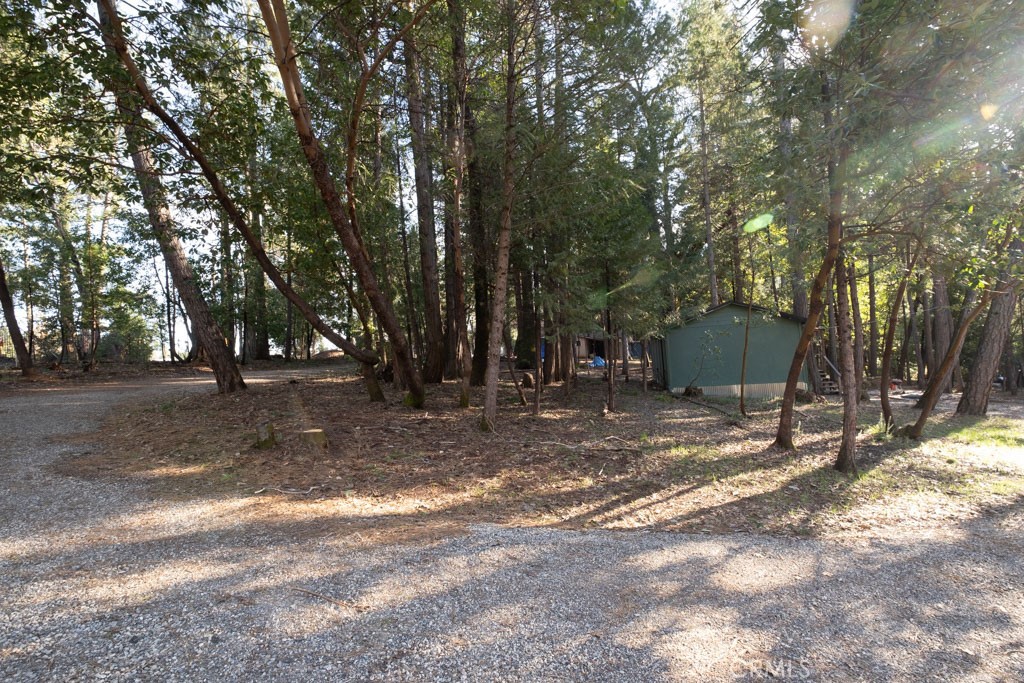 16648 New York House Road Property Photo 33
