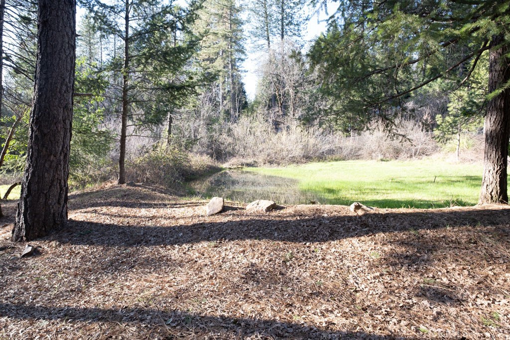 16648 New York House Road Property Photo 34
