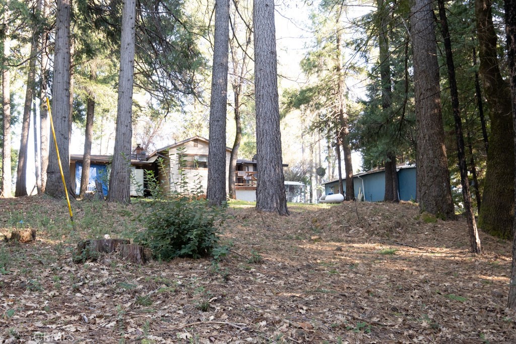 16648 New York House Road Property Photo 36
