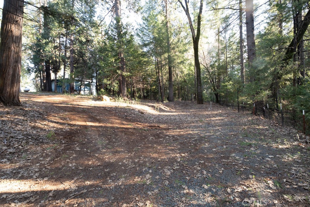 16648 New York House Road Property Photo 38