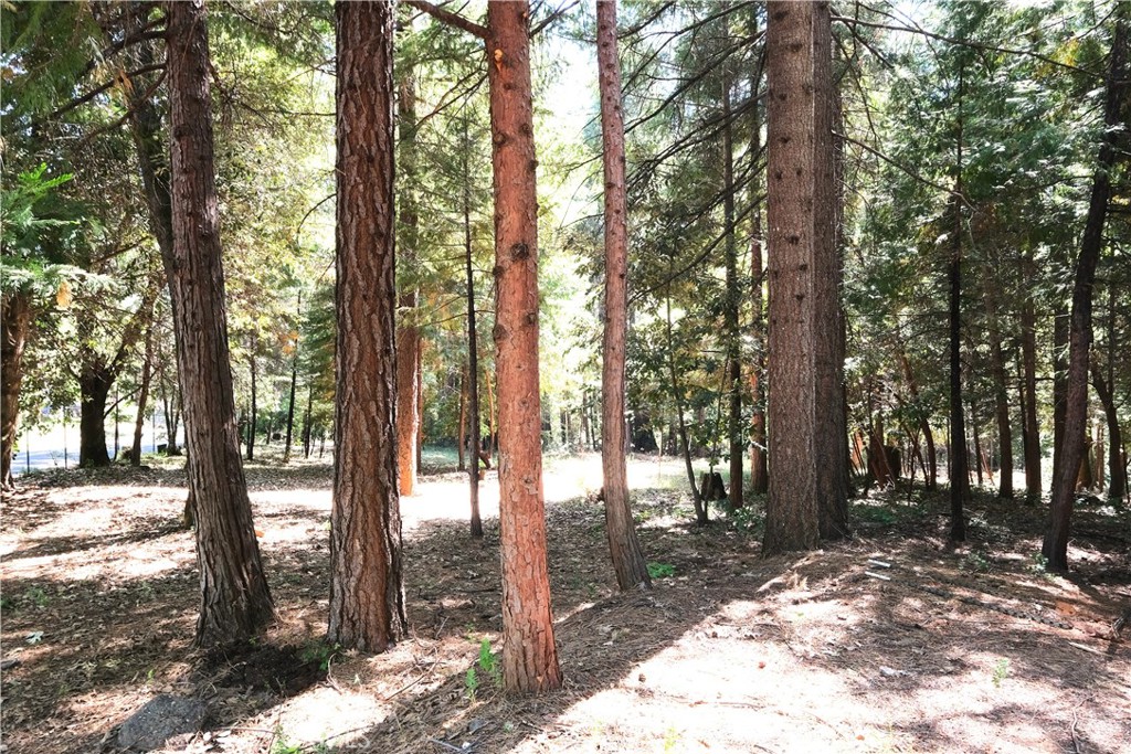 16648 New York House Road Property Photo 41