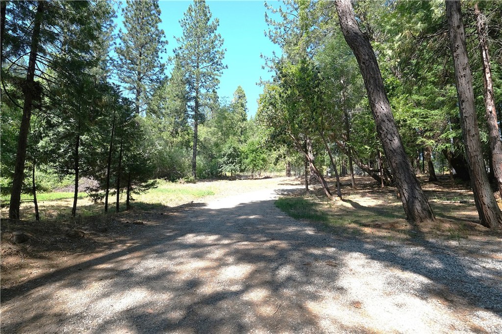 16648 New York House Road Property Photo 44