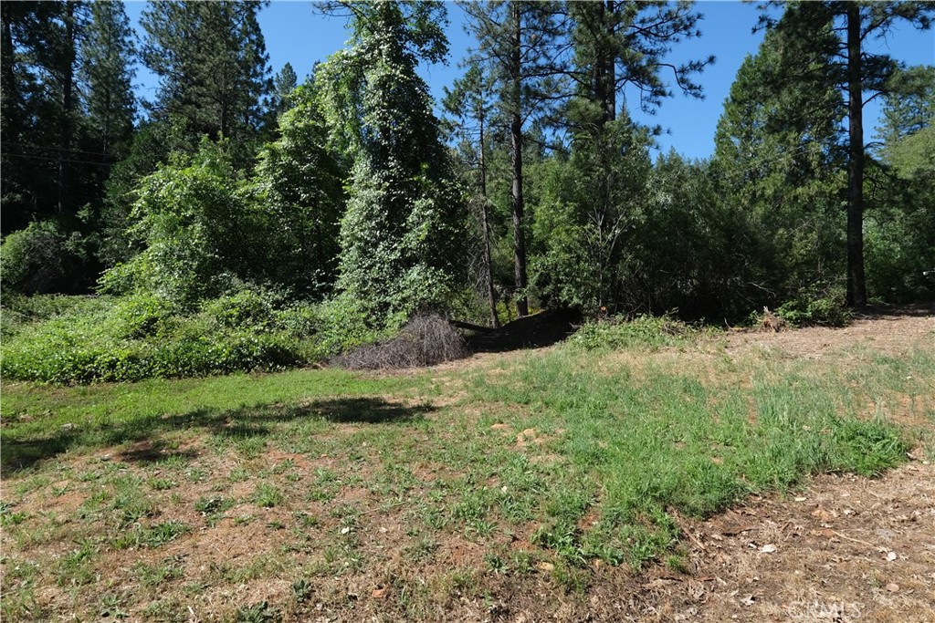 16648 New York House Road Property Photo 45