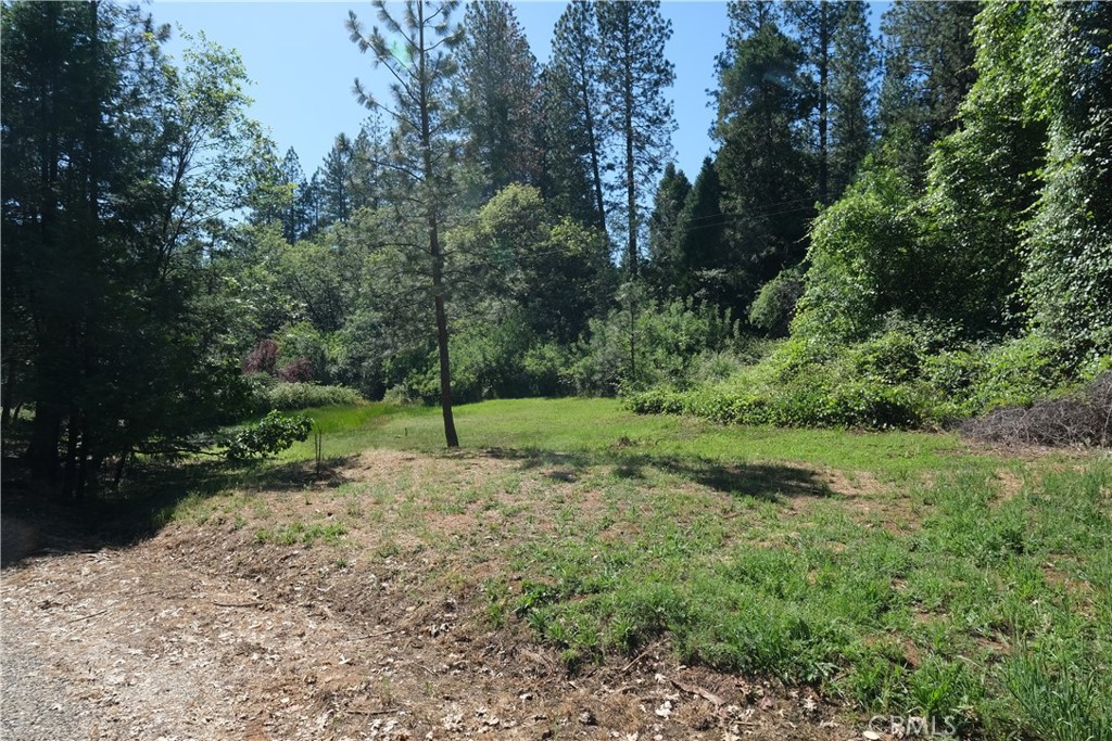 16648 New York House Road Property Photo 46