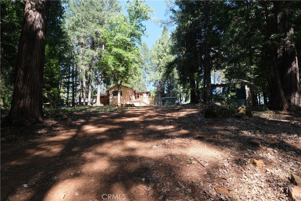 16648 New York House Road Property Photo 47