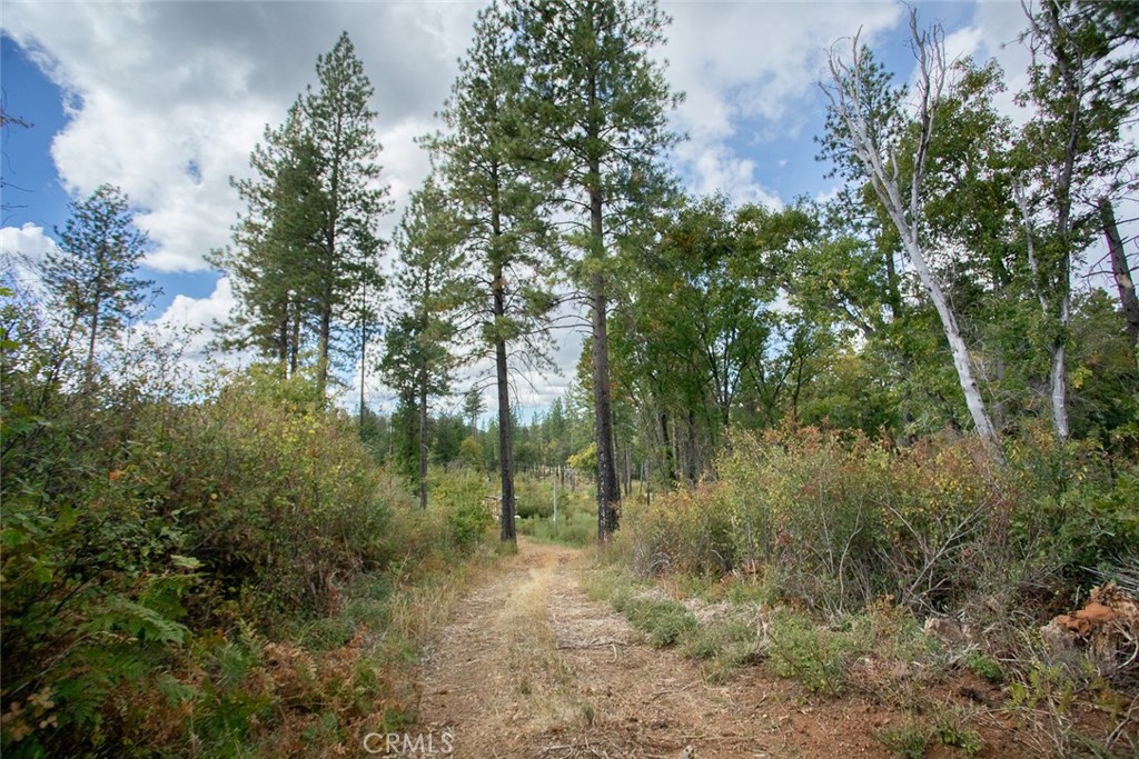 4023 Kakini Road Property Photo 14