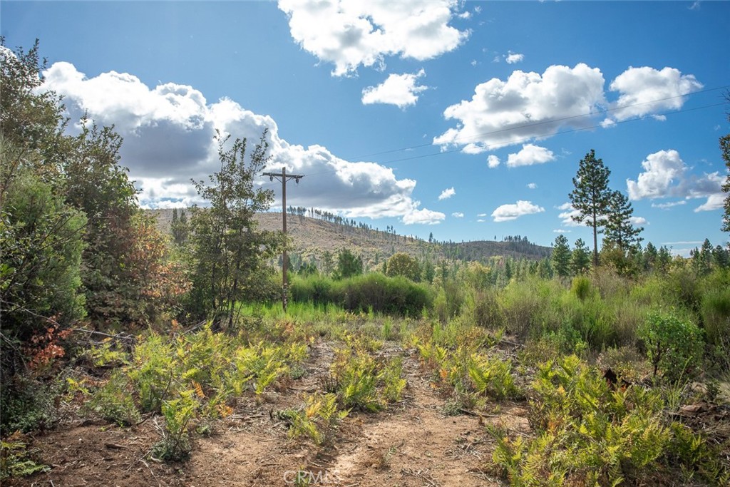 4023 Kakini Road Property Photo 17