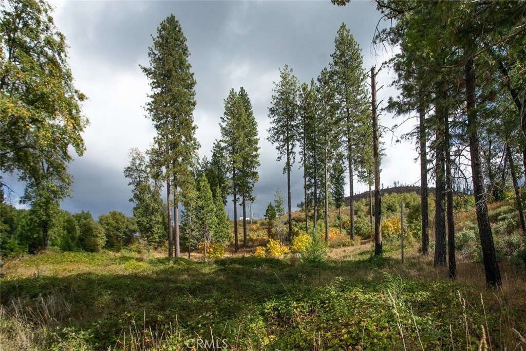 4023 Kakini Road Property Photo 19