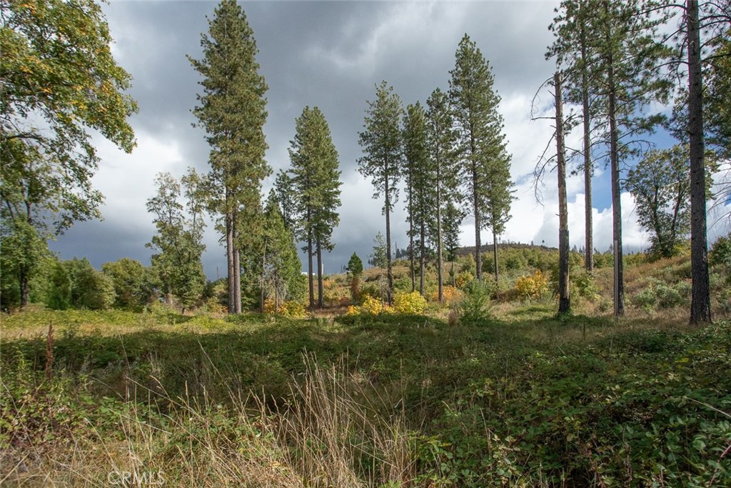 4023 Kakini Road Property Photo 20