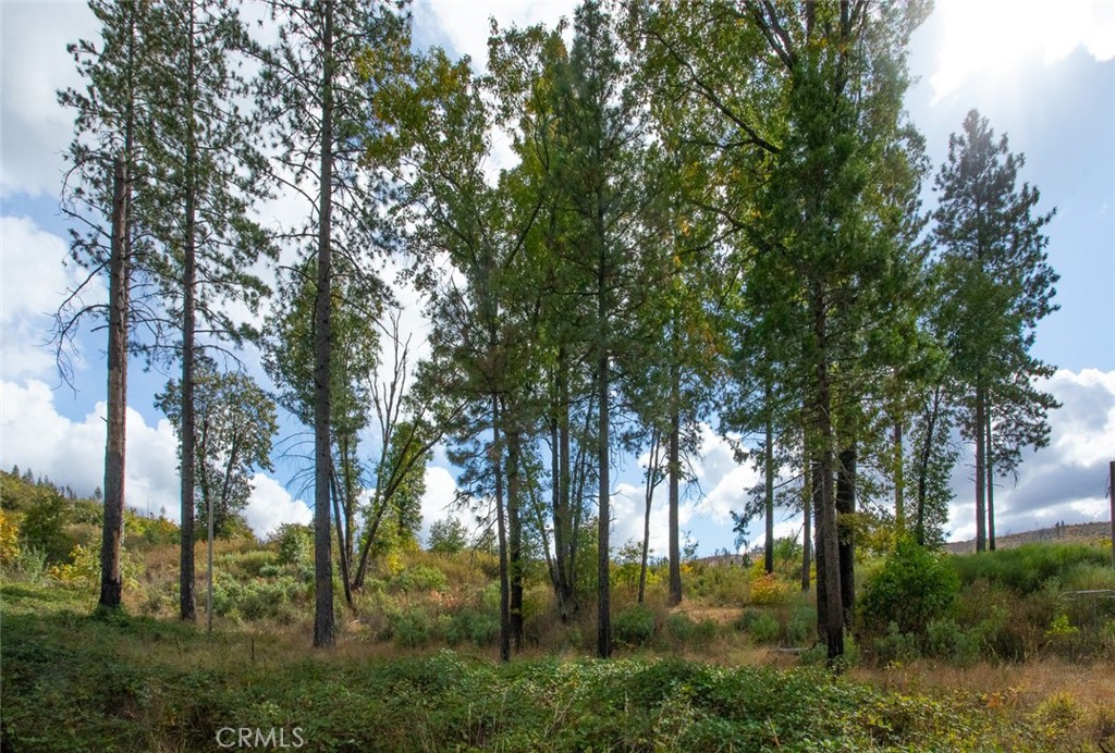 4023 Kakini Road Property Photo 21