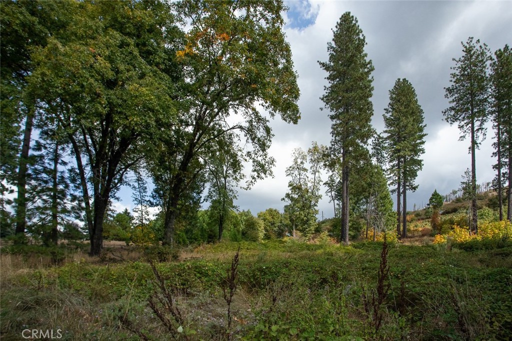 4023 Kakini Road Property Photo 22