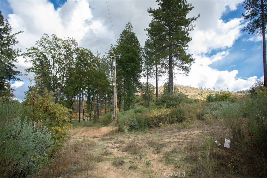 4023 Kakini Road Property Photo 26