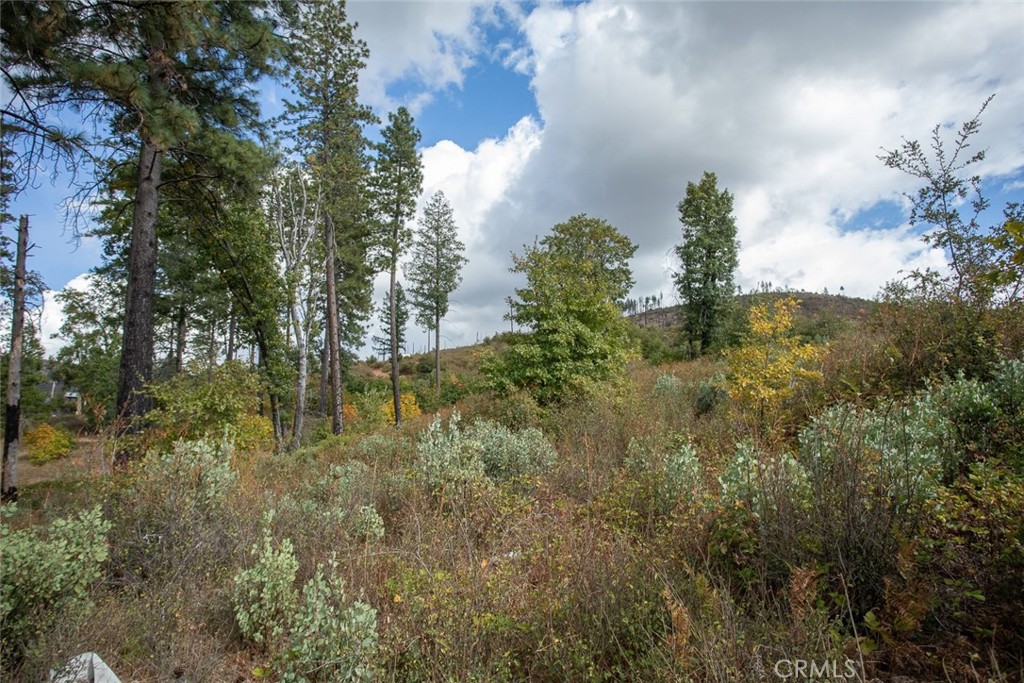 4023 Kakini Road Property Photo 30