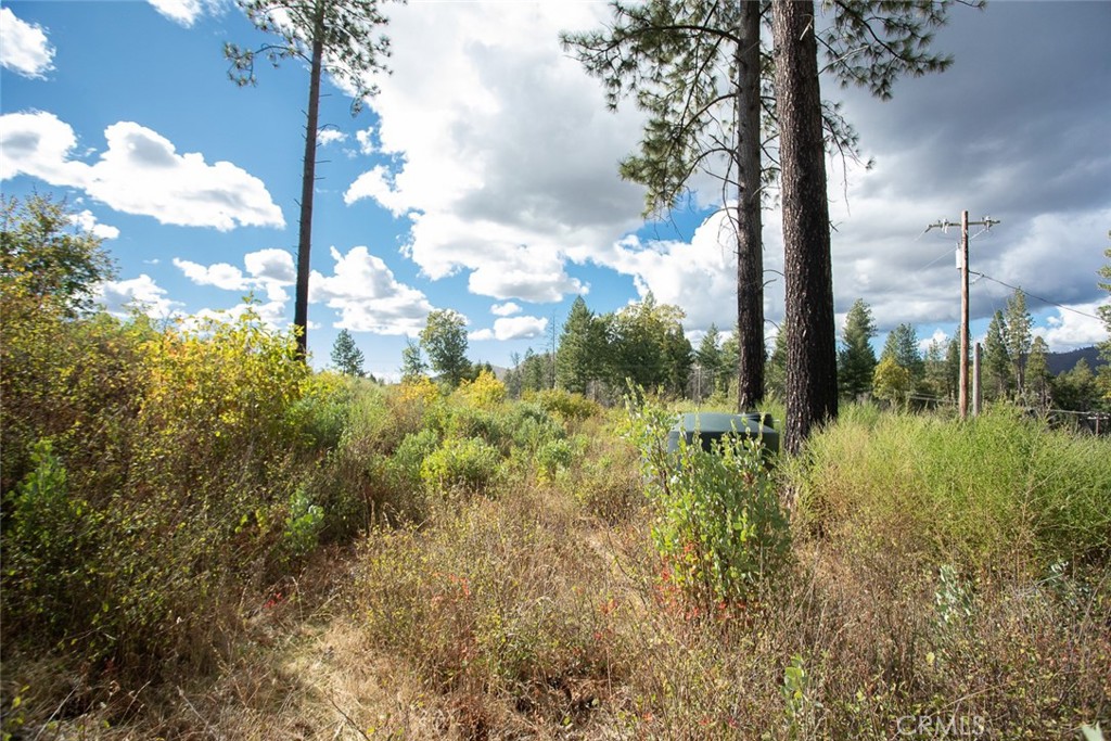 4023 Kakini Road Property Photo 31