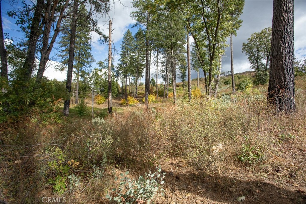 4023 Kakini Road Property Photo 32