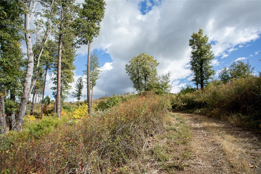 4023 Kakini Road Property Photo 33