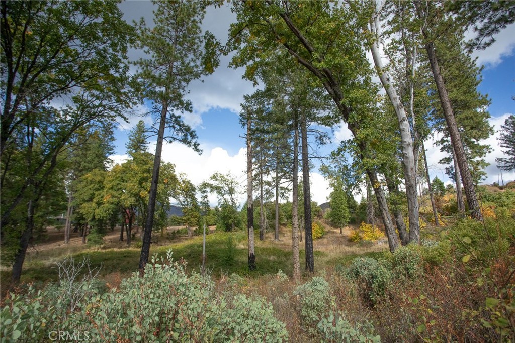4023 Kakini Road Property Photo 34