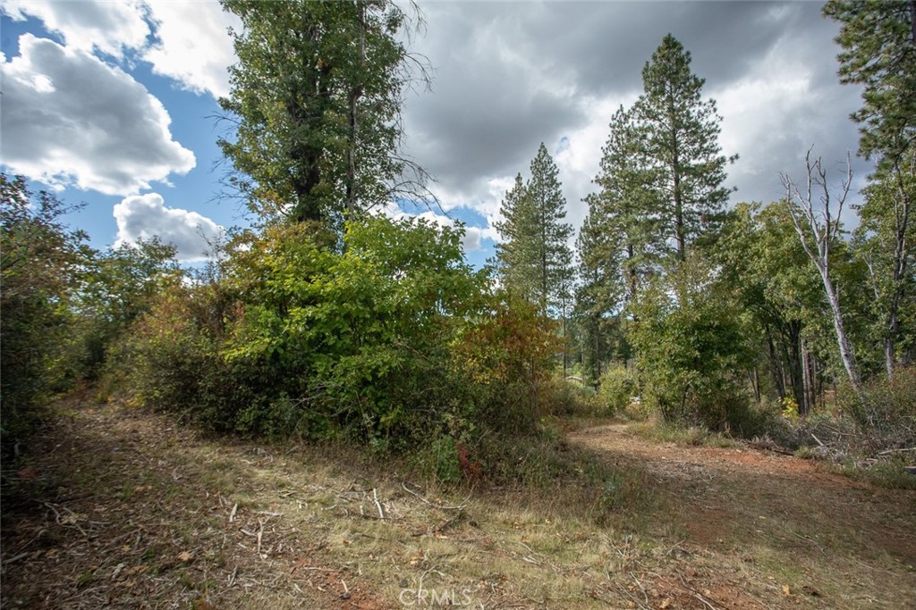 4023 Kakini Road Property Photo 35