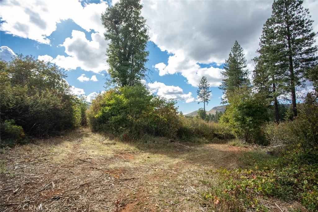 4023 Kakini Road Property Photo 36
