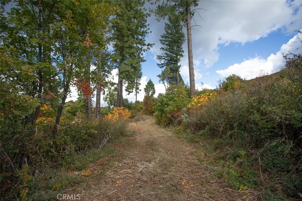 4023 Kakini Road Property Photo 37