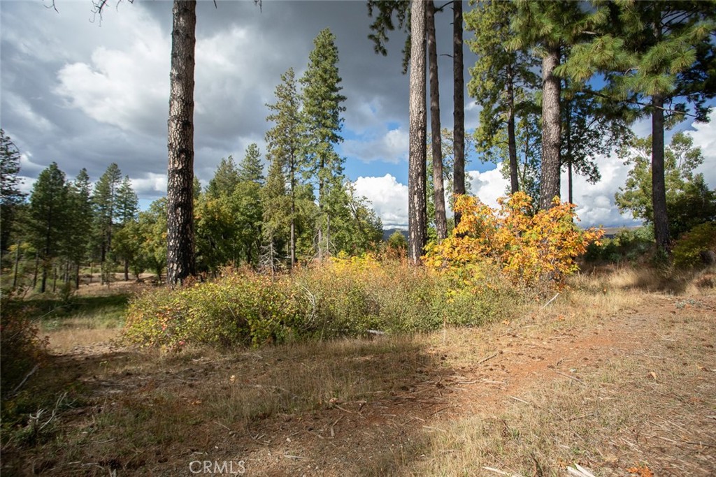 4023 Kakini Road Property Photo 38