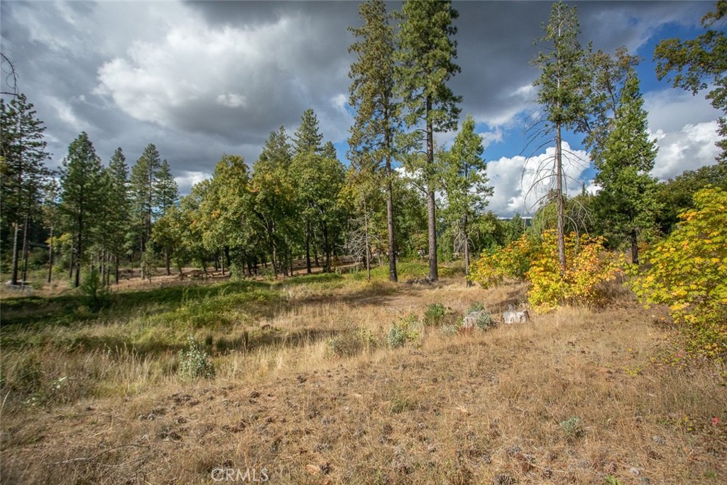 4023 Kakini Road Property Photo 39