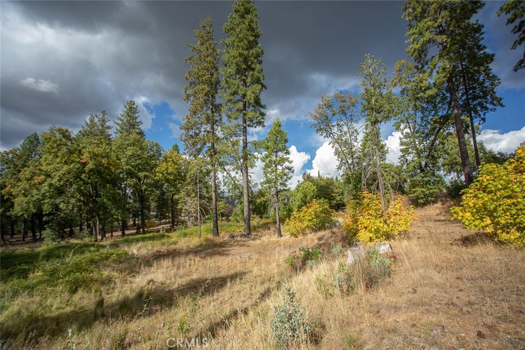 4023 Kakini Road Property Photo 40