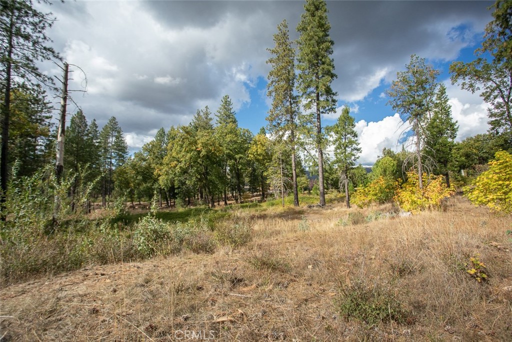 4023 Kakini Road Property Photo 41