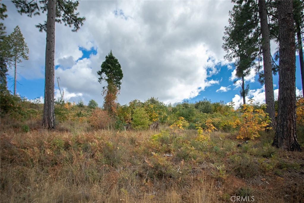 4023 Kakini Road Property Photo 42
