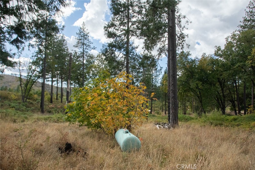 4023 Kakini Road Property Photo 43