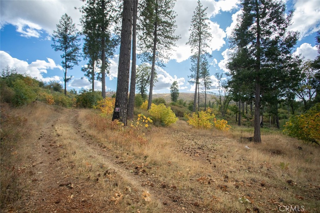 4023 Kakini Road Property Photo 44