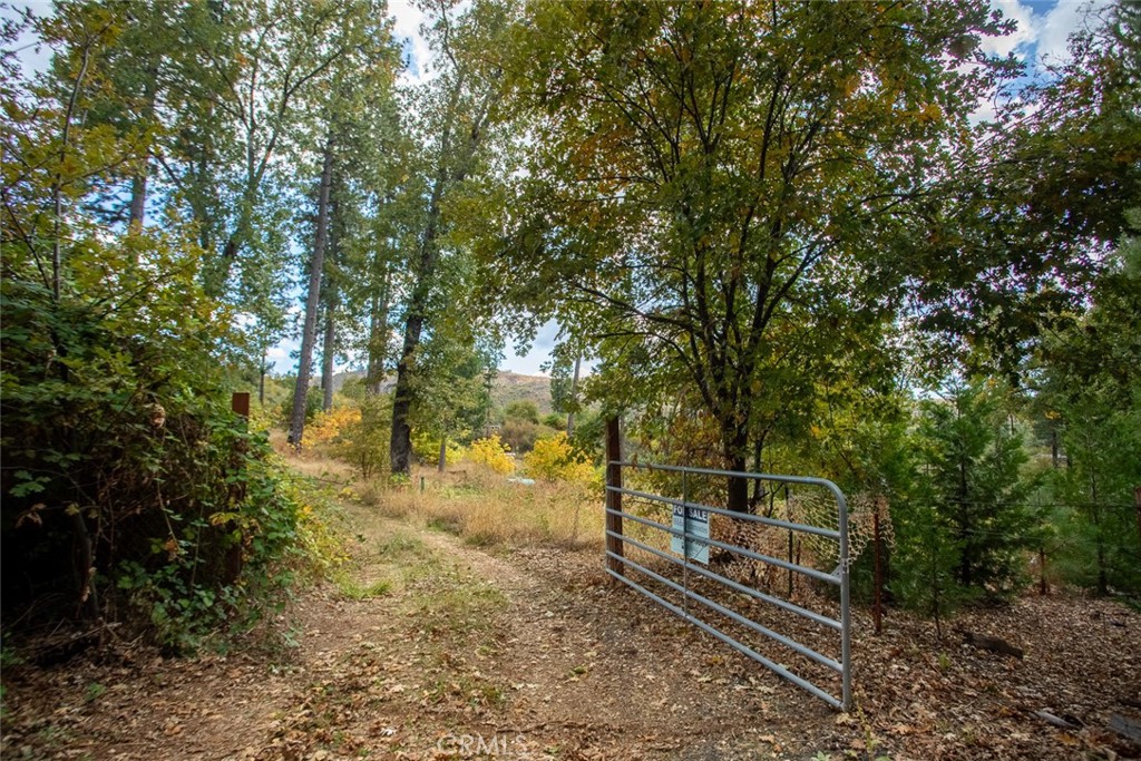 4023 Kakini Road Property Photo 45