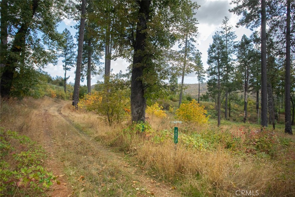 4023 Kakini Road Property Photo 46