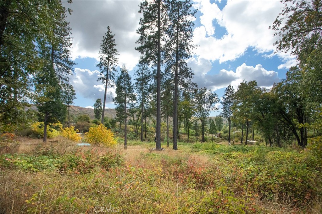 4023 Kakini Road Property Photo 47