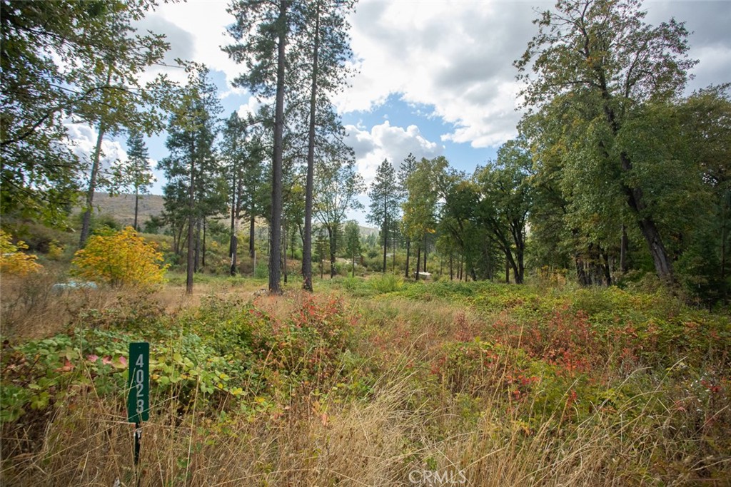 4023 Kakini Road Property Photo 48