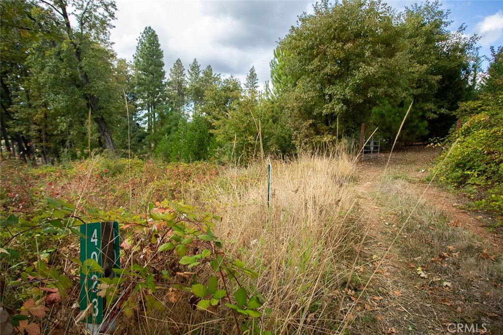 4023 Kakini Road Property Photo 49