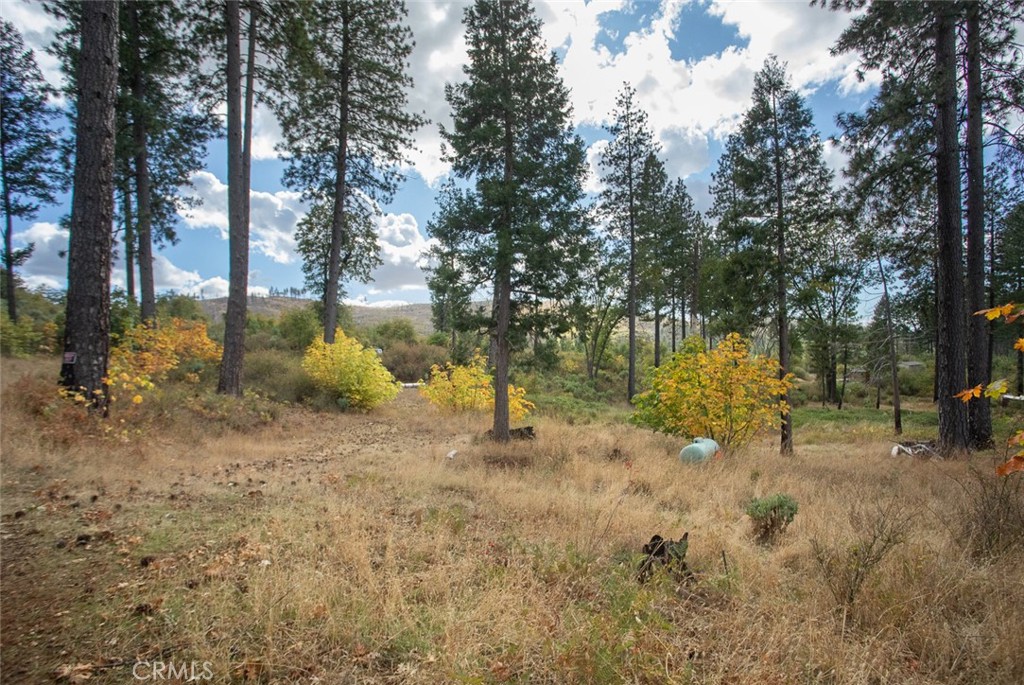 4023 Kakini Road Property Photo 50