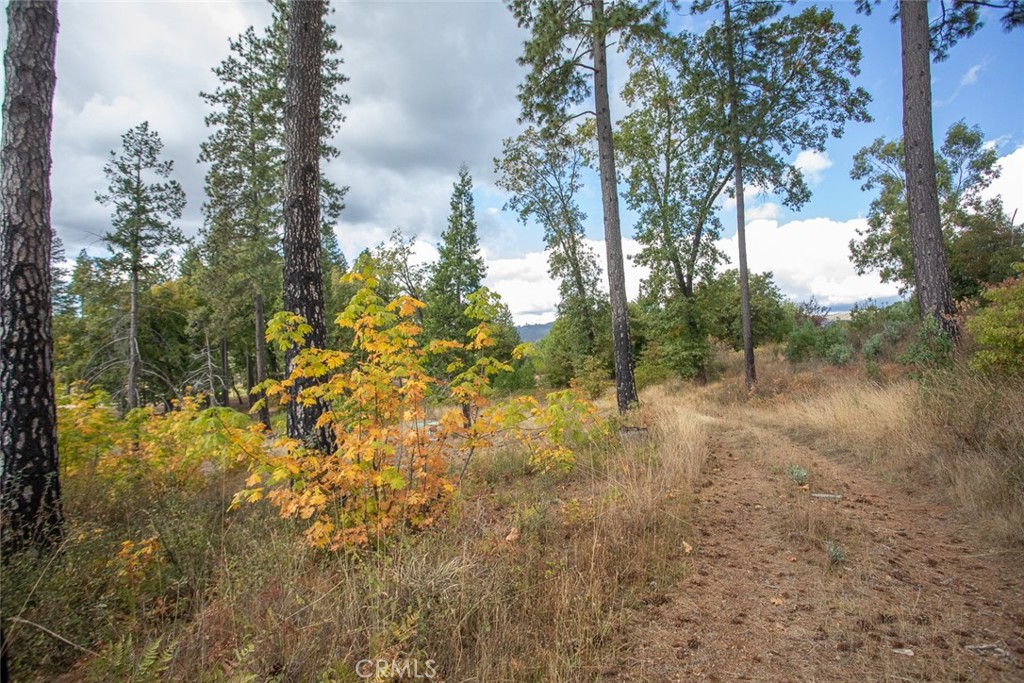 4023 Kakini Road Property Photo 51