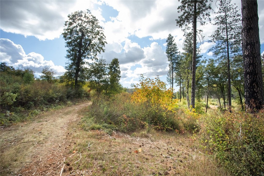 4023 Kakini Road Property Photo 52
