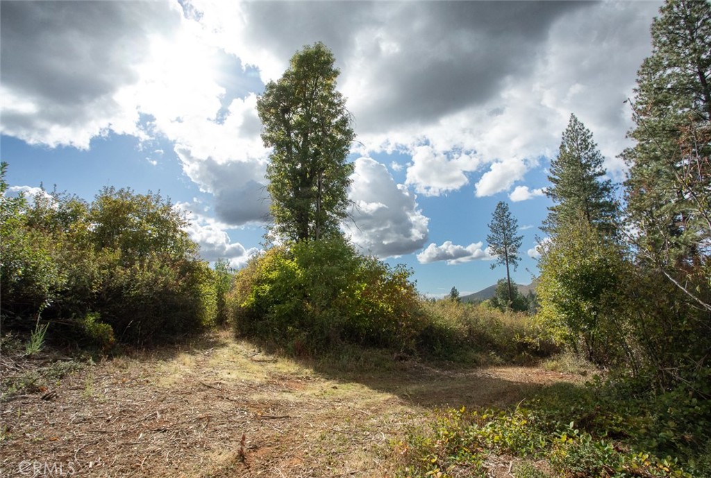 4023 Kakini Road Property Photo 53