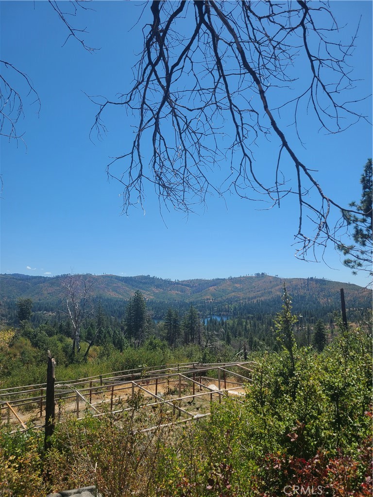 0 Hog Ranch Road Property Photo 3