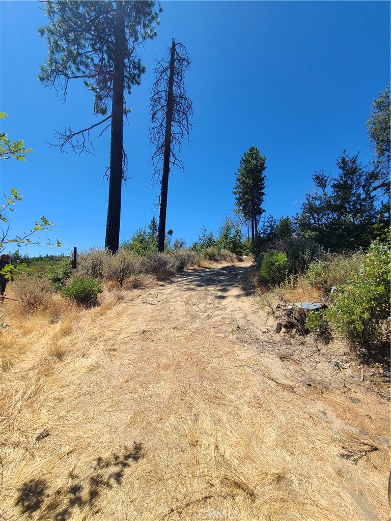 0 Hog Ranch Road Property Photo 4