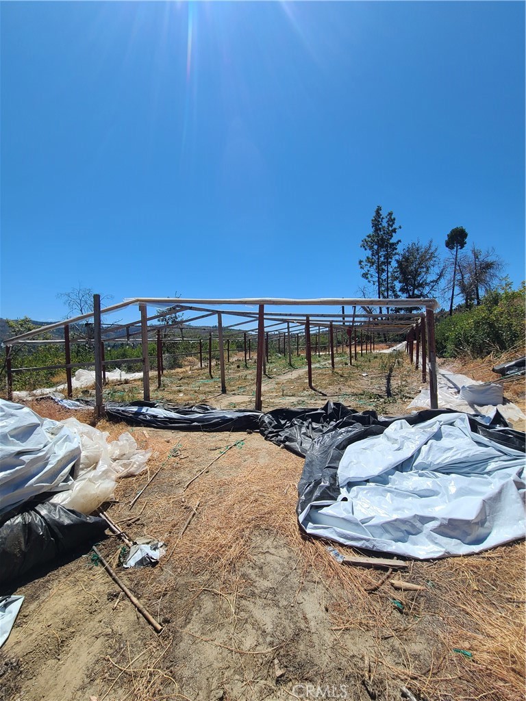 0 Hog Ranch Road Property Photo 6