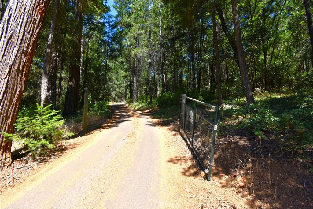 Foresthill Real Estate Listings Main Image