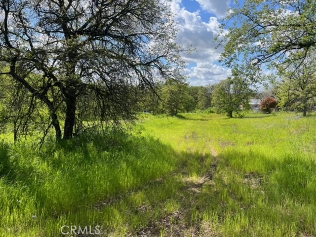 0 Lincoln Boulevard Property Photo 6