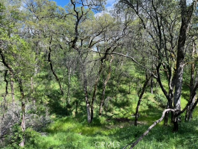 0 Lincoln Boulevard Property Photo 11