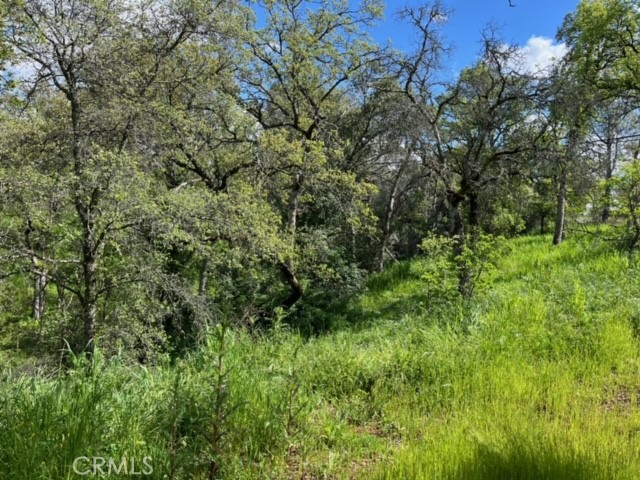 0 Lincoln Boulevard Property Photo 12