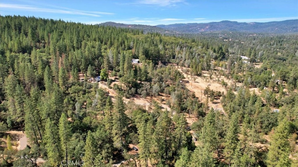12828 Broyles Trail Property Photo 3