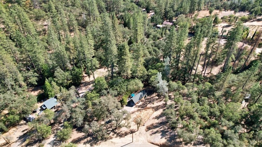 12828 Broyles Trail Property Photo 4